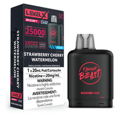 FLAVOUR BEAST LEVEL X BOOST G2 POD 25000