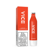 VICE 2500