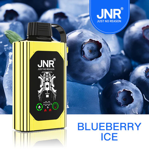 JNR SHISHA BOX BLUEBERRY ICE