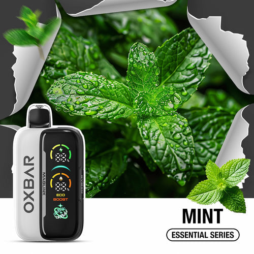 OXBAR MAGLINK 30ML STARTER KIT MINT